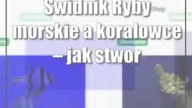Świdnik: Ryby morskie a koralowce  jak stworzyć odpowiednie środowisko w akwarium?