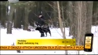 Holiday - Bądź radością mą