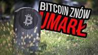 Śmierć Bitcoina ma nowe ATH, a DeFi cierpi na brak płynności | KRYPTO Stream