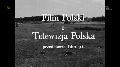 Komedia z pomyłek (1967)