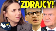 JEDEN I DRUGI TO ZDRAJCA! Bryłka UDERZA w układ PO-PiS