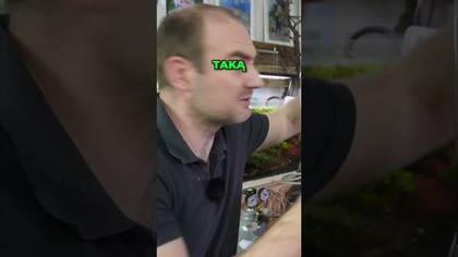 Dwutlenek węgla w akwarium  czy warto? 