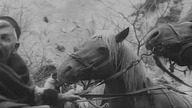 Strzelba z Nevesinje 1963 napisy pl