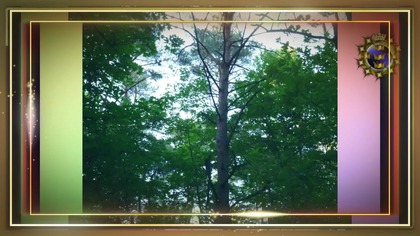 JuTubki.  (Muzyczny).  MiKE. ^ (Slajdy).  BiSTRO Electrique.