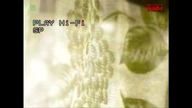 VID-1710343516934