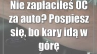Nie zapłaciłeś OC za auto? Pospiesz się, bo kary idą w górę