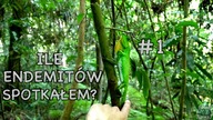 14 km po dżungli SINHARAJA wpisanej do UNESCO Tam chce na kwarantanę! / Sri Lanka SPECIAL #2