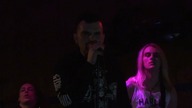 Black Dog - Knockout (Live)