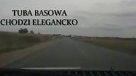 Wypadek z sarna