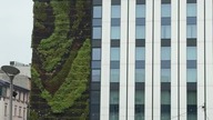 Katowice