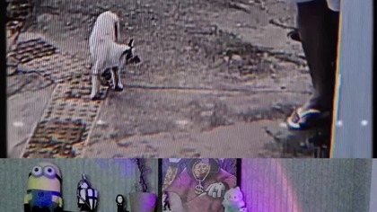 Przykład, jak Bóg chroni nas przed złem #faith #jesus #shorts