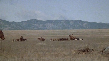 Tom.  Horn.  (1980)
