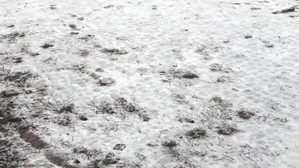 15th December 2024 (December 2024, Christmas Video Series)