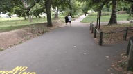 Hempstead Park