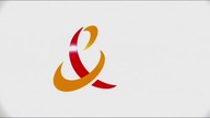 Telekomunikacja Polska (2011)