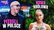 FANÓW PITBULLA CZEKA NIEMIŁA NIESPODZIANKA! (ZŁOTE ANTOSIE, NATSU, MICHELLE TRACHTENBERG)