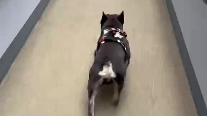 31d08d87-8d4f-49f7-ab51-5c502b06ac17