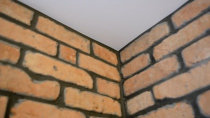 Cz.2-Ściana z surowej cegły ,imitacja ściany z cegły bez tynku w bloku z betonu. Kawalerka 31 m2