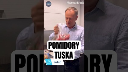 POMIDORY TUSKA | czyli jak manipulują opinią publiczną! #shorts #donaldtusk #wybory2023