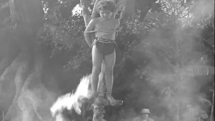 Skarb.  Tarzana.  1941.  Lektor.pl 1080p Przygodowy