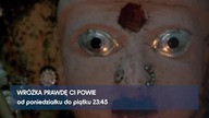 Wr&oacute;żka prawdę Ci powie