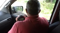 Bardzo ciekawski niedźwiedź