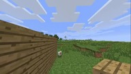 granie w minecraft beta