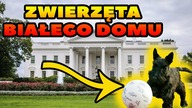 NIEZWYKŁYCH ZWIERZĄT MIESZKAJĄCYCH W BIAŁYM DOMU