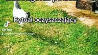 Rytuał oczyszczający  Sposoby szeptuch na pecha 