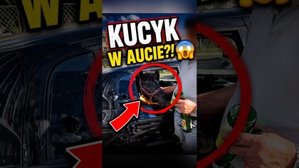 Kucyk w aucie na słońcu?  Na szczęście świadkowie szybko zareagowali.  #shorts #warszawa #zwierzęta