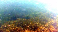 Test kamery GoPro w Bałtyku.
