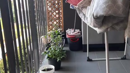 Dzień dobry przy kawie
