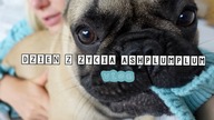DZIEŃ Z ŻYCIA INFLUENCERA / TESTUJĘ NOWĄ APLIKACJE