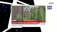 Łapu Capu (3 lipca 2026)