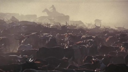 Bydło Culpeppera.  1972. The Culpepper Cattle Co.  Lektor.pl . western