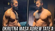Andrew Tate Wychodzi Z Aresztu Na KONKRETNEJ MASIE!