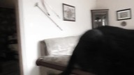 Circle of life (cover)