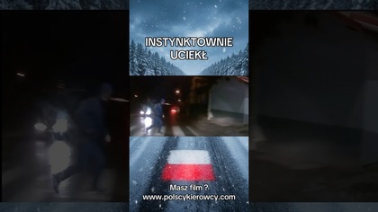 Zatrzymał się przed pasami! Pieszy dostaje powera i ucieka #polscykierowcy #kolizja #pasy #wypadek