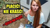 chcieliśmy PŁACIĆ ! NIE KRASĆ ! ...  jak dorobić tłumik do agregatu + sesja na plaży