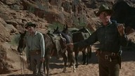 Zawodowcy - The Professionals (Western, 1966) lektor