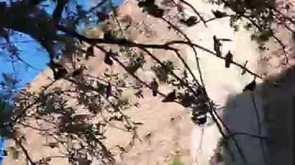 Jazda na Gravelu z 1989 roku...