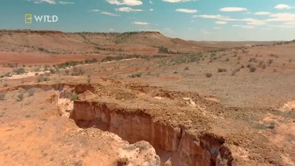 NATIONALGEOGRAPHICWILD - 01-01-2026 - Zapowiedzi, Reklamy identy