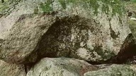 Megality w Borkowie - najstarsze ślady osadnictwa na terenie Polski! 5000 lat temu budowane w Polsce