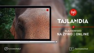 #8 Ladyboy'e, Bagkok, Tajowie i Tajska Kuchnia  Tajlandia Slajdowisko L&O | Kurs Na Wschód
