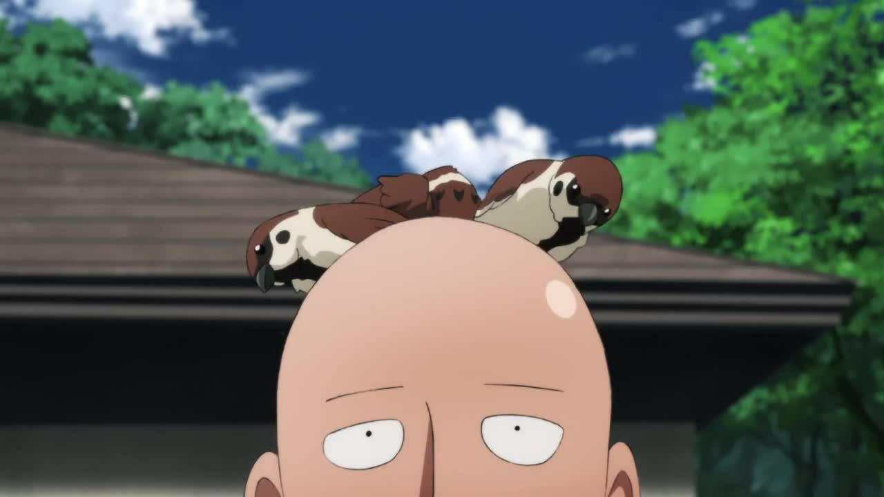 Cda One Punch Man Sezon 2