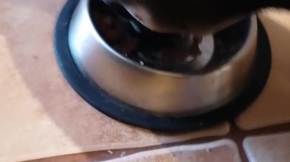 dd6153bf-f19b-4483-b2b1-70310b548c1b