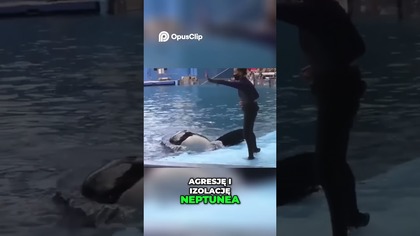 Tragedia Neptuna Kulisy, Ostrzeżenia i Zignorowane Niebezpieczeństwo