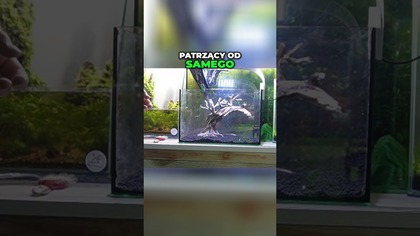 Podkład pod akwarium.  #aquascape #akwarium #akwarystyka