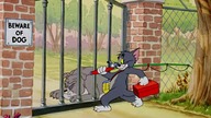 Tom. and. Jerry. E27. Cat. Fishin. 720p. BrRip. x265. HEVC-PSA