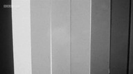 A History of Art in Three Colours (White)